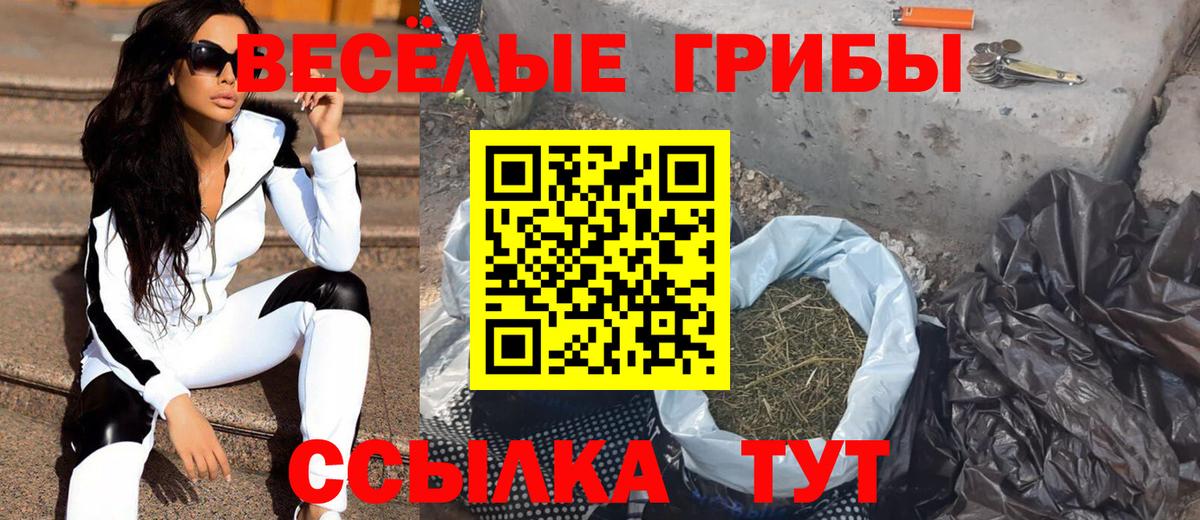Чернушка  Псилоцибиновые грибы MAGIC MUSHROOMS  Вход с VPN 