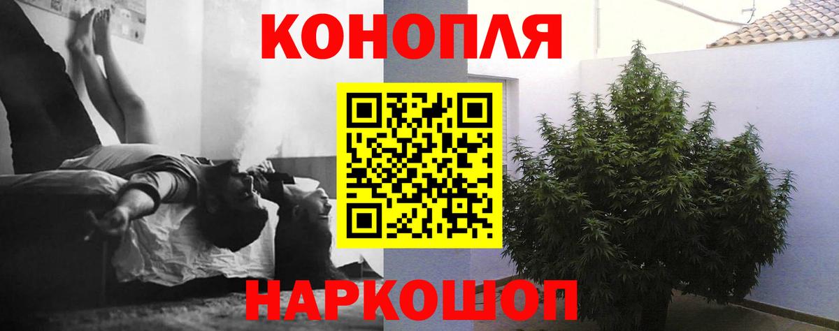Канабис конопля Чернушка